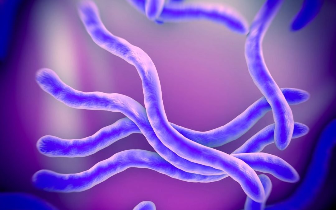 Investigaciones sobre parásitos humanos revelan que no sólo viven en tu cuerpo y se alimentan de ti, además controlan tus emociones y pensamientos.