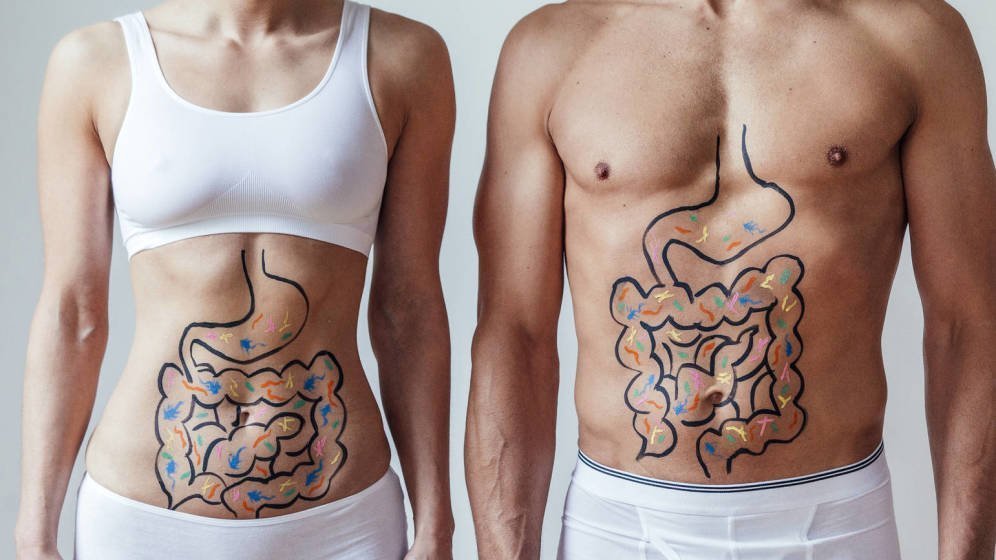MEISI, la metodología que está transformando la Nutrición y la Psicología