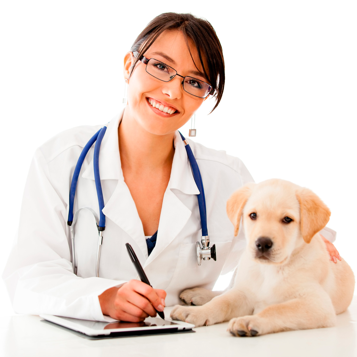 Rol de Médico Veterinario Zootecnista en la Salud Pública.